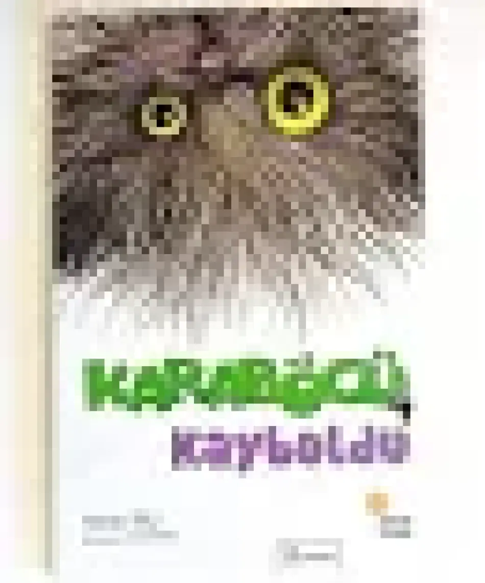 Karaböcü Kayboldu - Niran Elçi