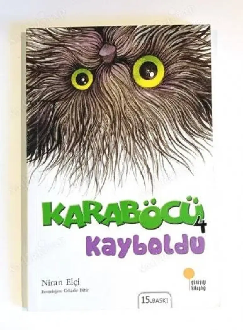 Karaböcü Kayboldu - Niran Elçi