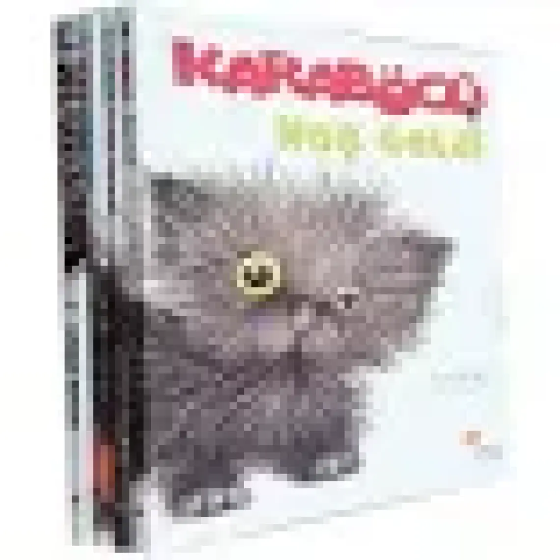 Karaböcü Kayboldu - Niran Elçi