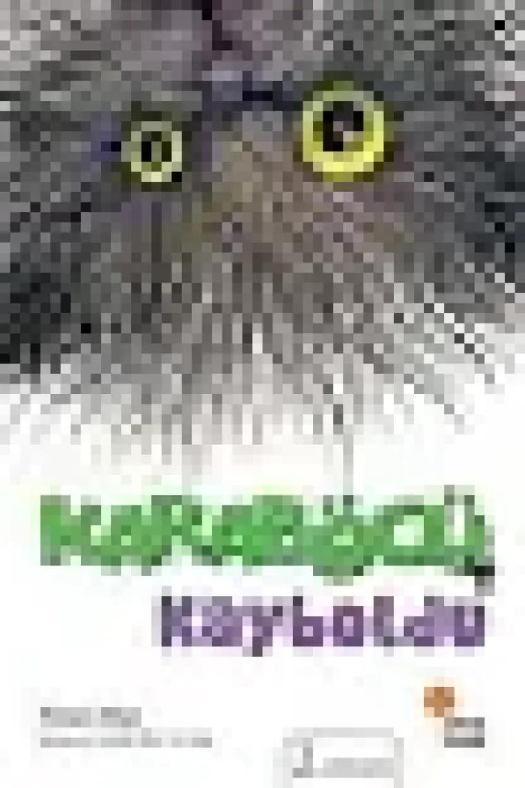 Karaböcü Kayboldu - Niran Elçi