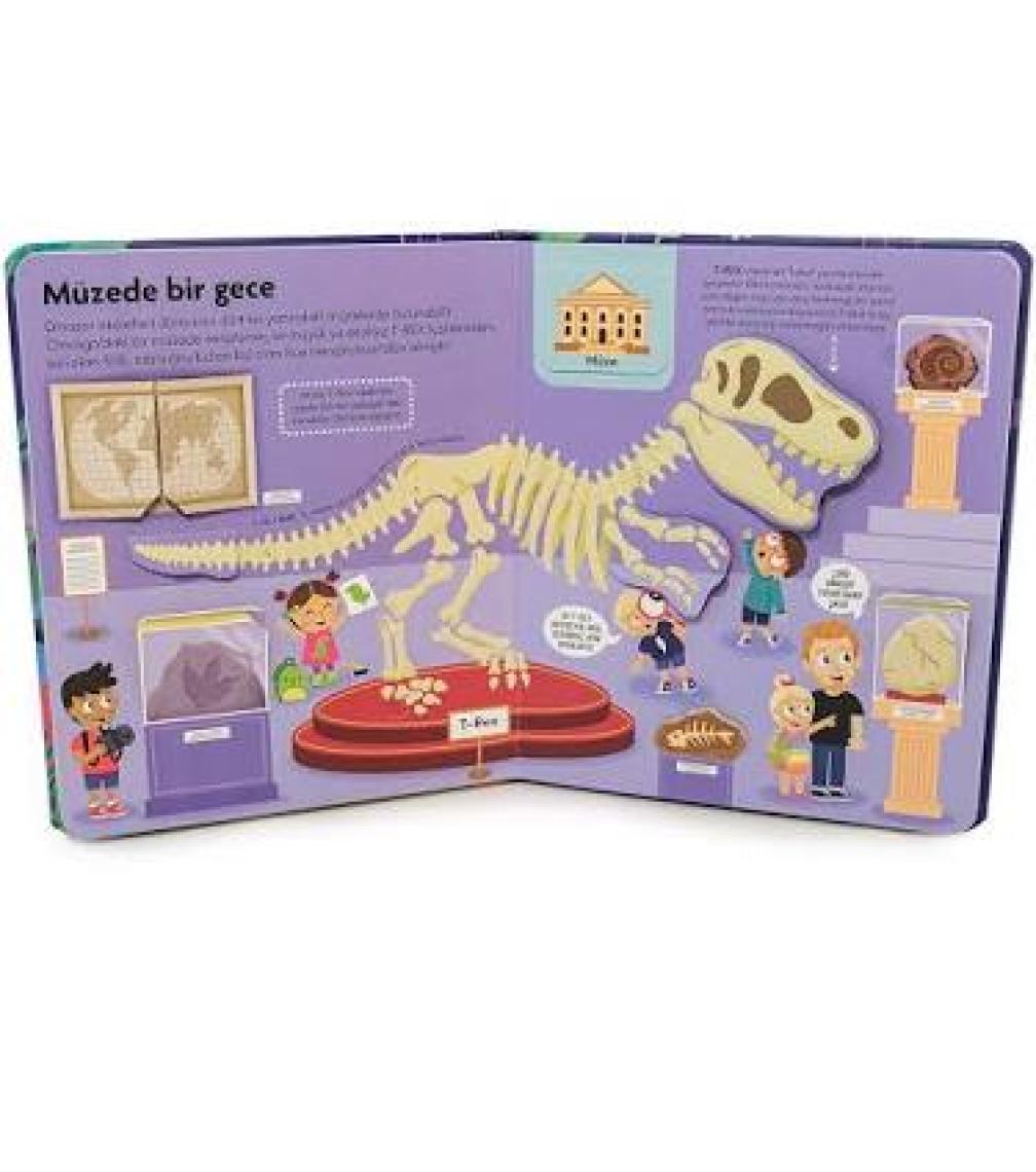 Eğlenceli Gerçekler - Keşif Zamanı: Dinozorlar