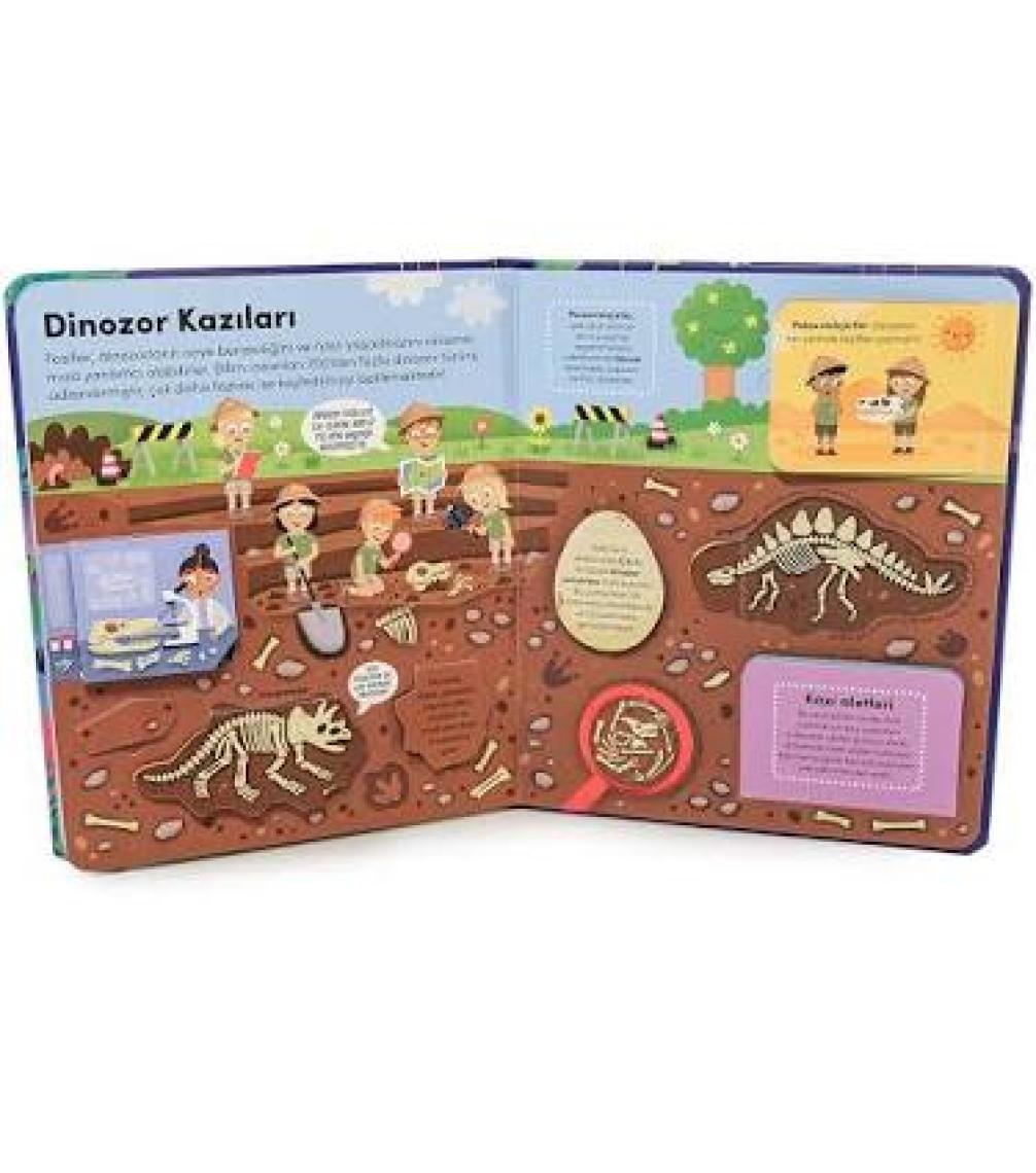 Eğlenceli Gerçekler - Keşif Zamanı: Dinozorlar
