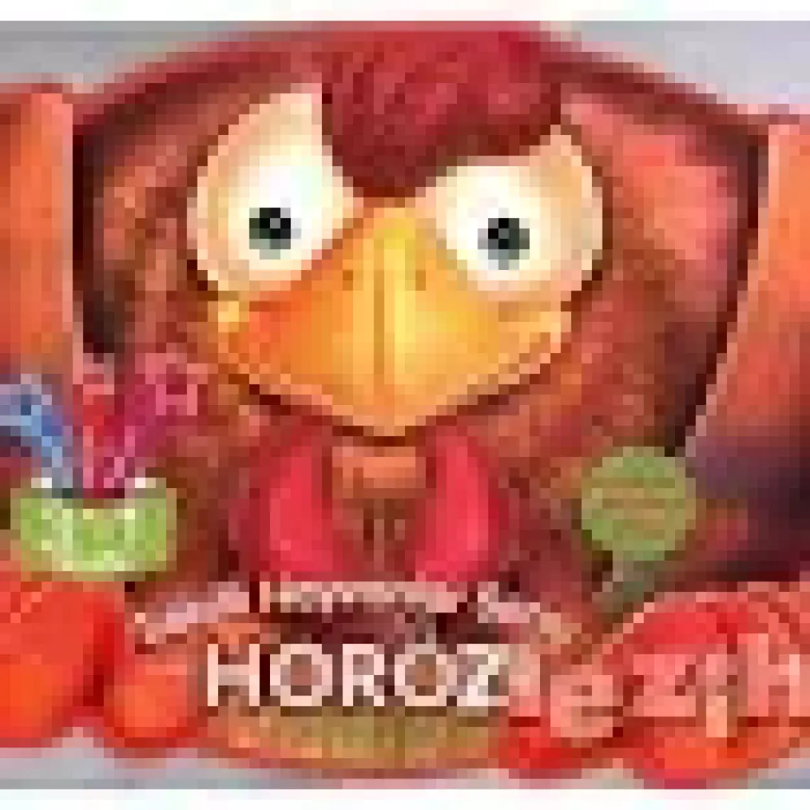 Horoz - Quıxot Publıshıng
