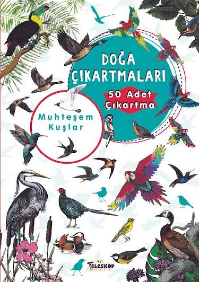 Muhteşem Kuşlar Doğa Çıkartmaları