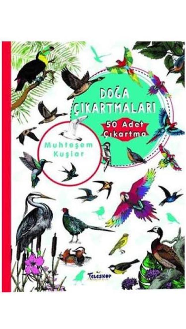 Muhteşem Kuşlar Doğa Çıkartmaları