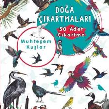 Muhteşem Kuşlar Doğa Çıkartmaları