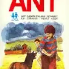 Ant-Ömer Seyfettin