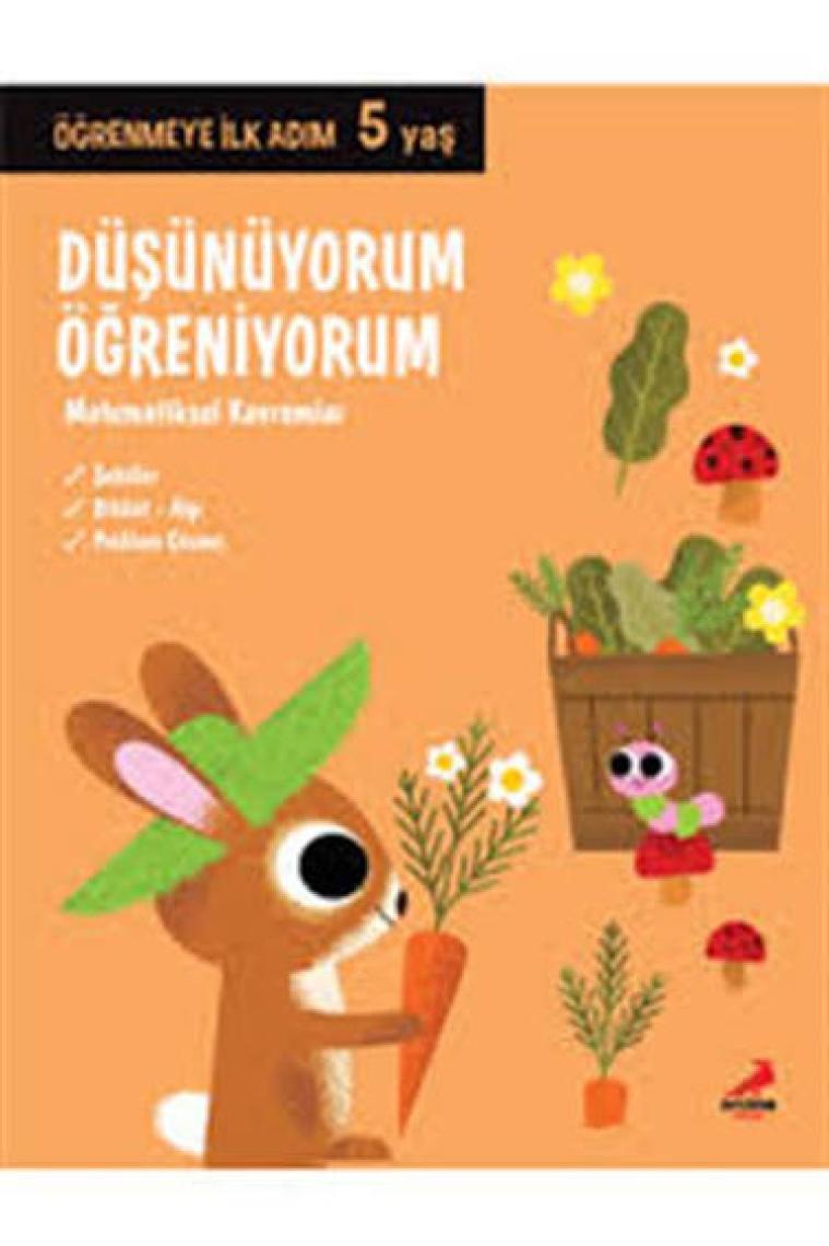 Düşünüyorum Öğreniyorum 5 Yaş