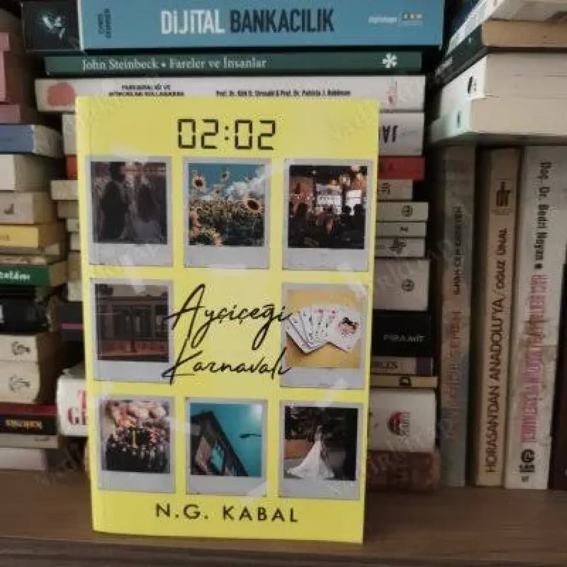 02 : 02 Ayçiçeği Karnavalı (Cep Boy) - N.g. Kabal