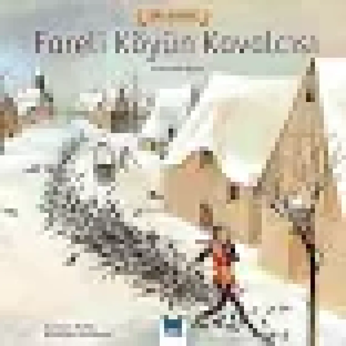 Fareli Köyün Kavalcısı - Grimm Kardeşler