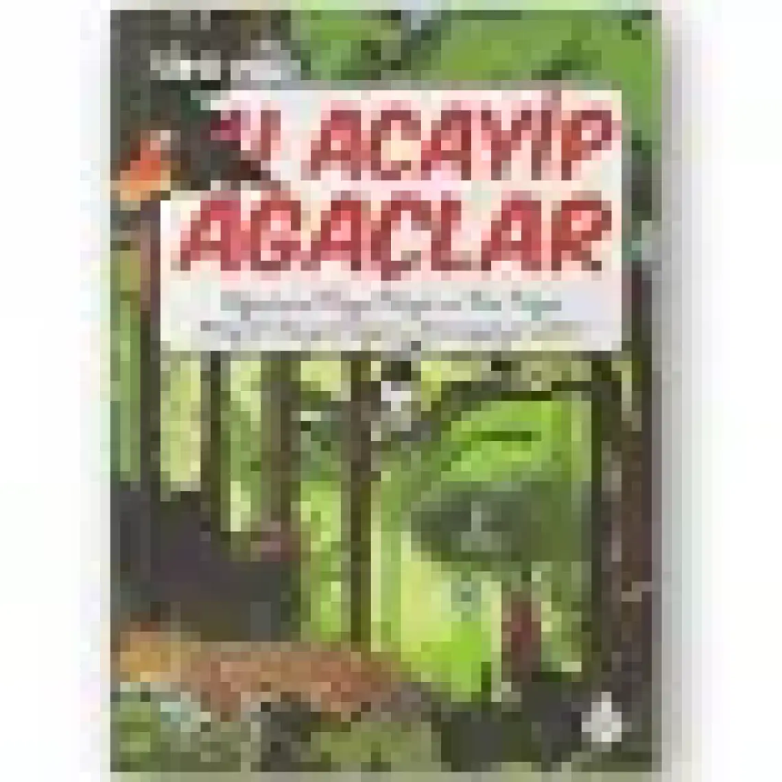 Şu Acayip Ağaçlar - Tarık Uslu