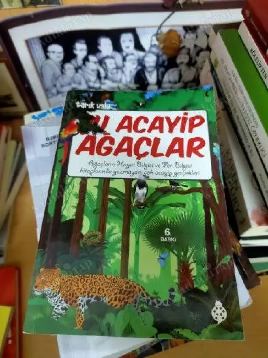 Şu Acayip Ağaçlar - Tarık Uslu