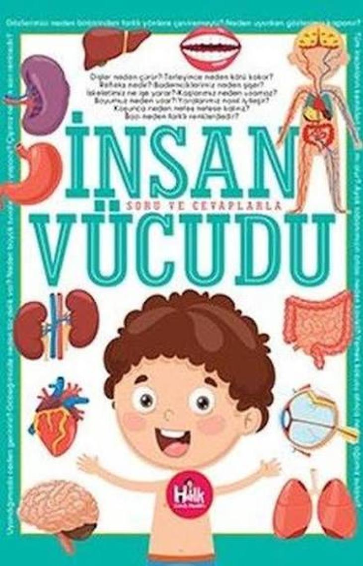 Insan Vücudu