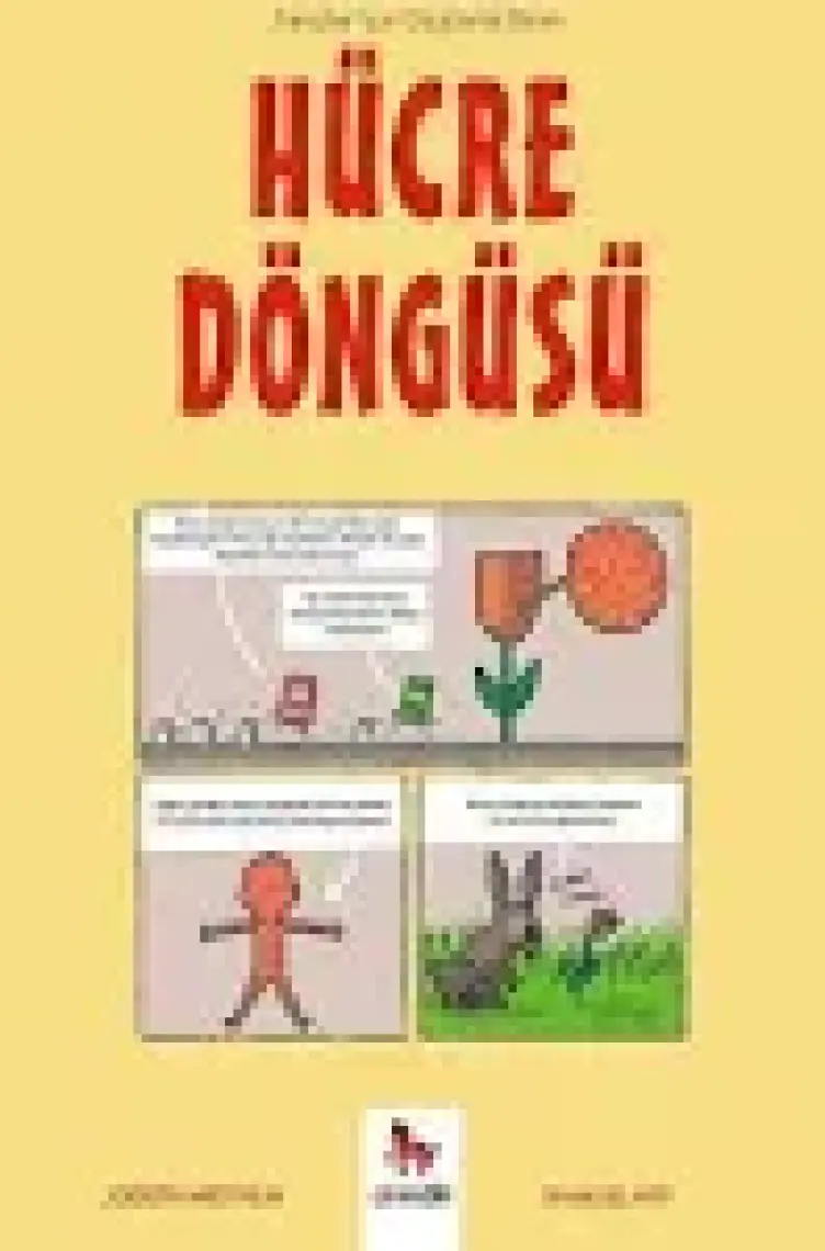 Hücre Döngüsü - Gençler Için Çizgilerle Bilim