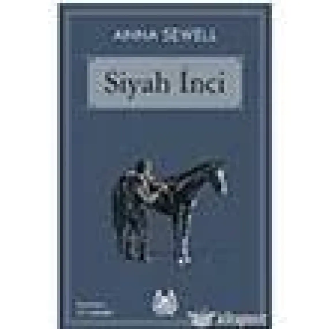 Nasıl Yazar Oldum?  Elanın Neşeli Günlüğü 2. Kitap / 2. Sınıf Okuma Kitabı - Celal Akbaş