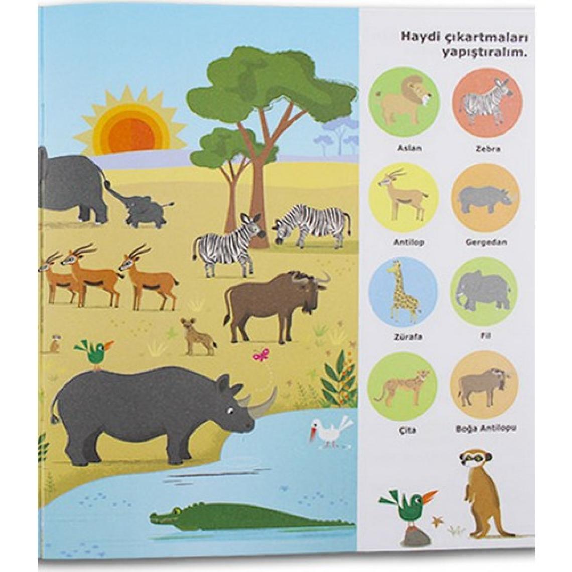 Teleskop Popüler Bilim Benim Ilk Yapıştırmalarım Seti 4 Kitap