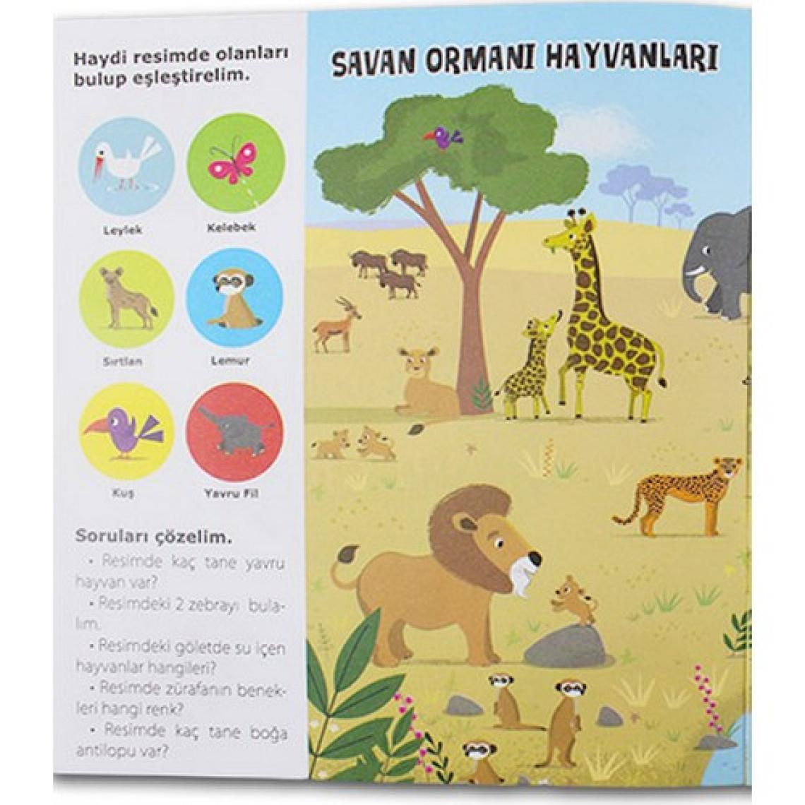 Teleskop Popüler Bilim Benim Ilk Yapıştırmalarım Seti 4 Kitap
