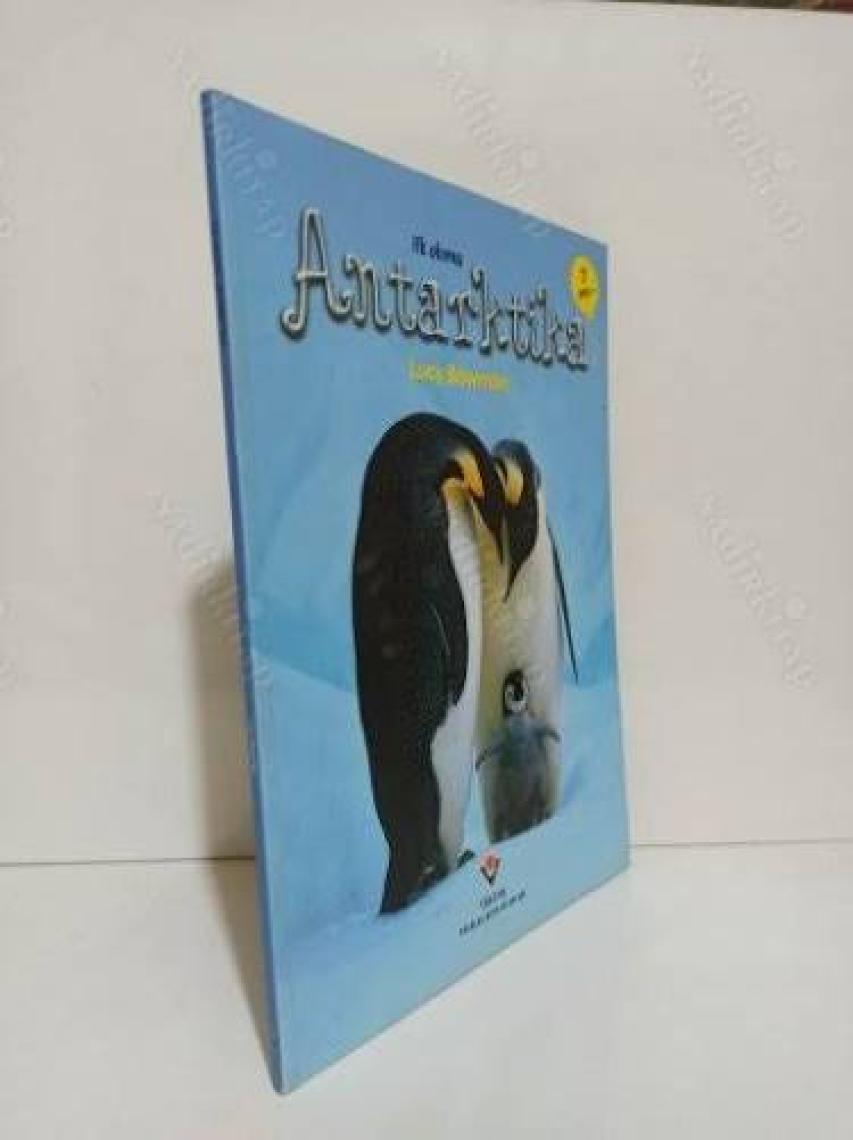 İlk Okuma: Antarktika - Lucy Bowman