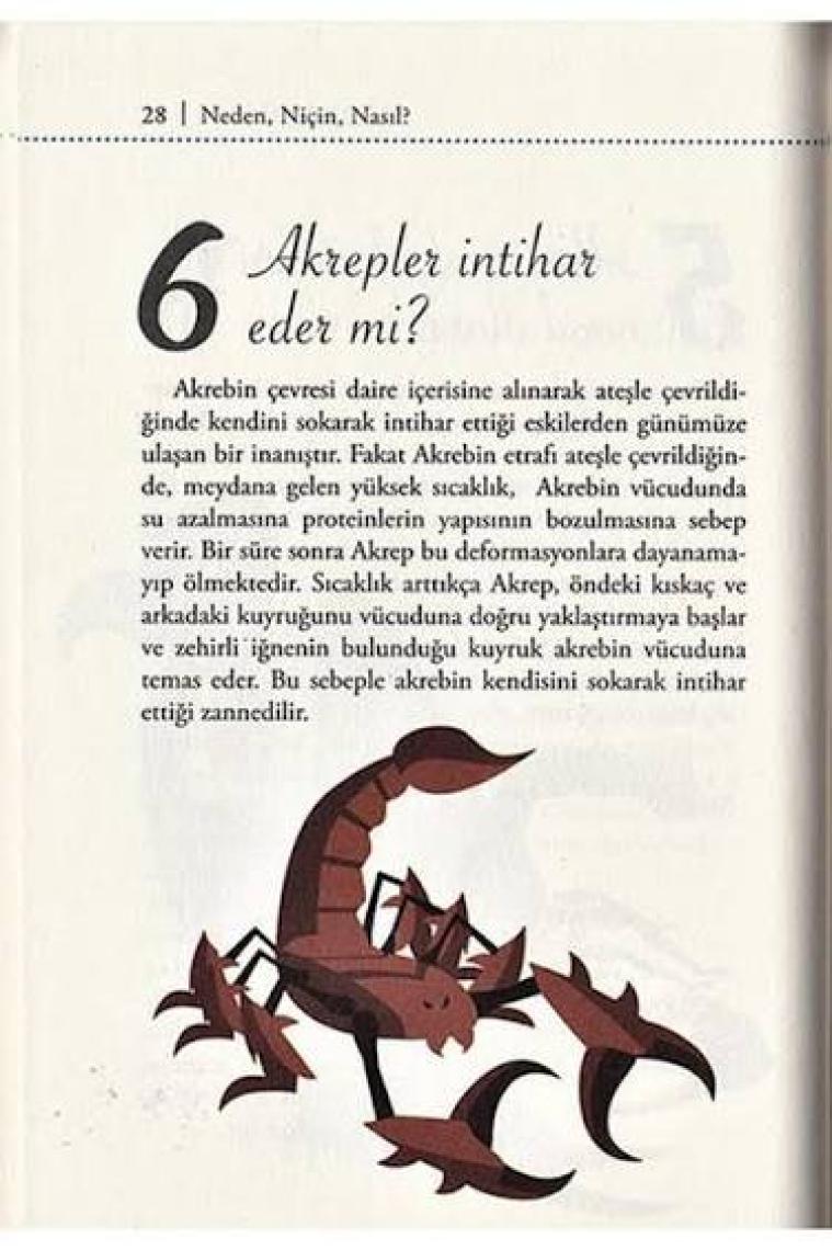 Süper Bilgi - Merak Ettiklerimiz