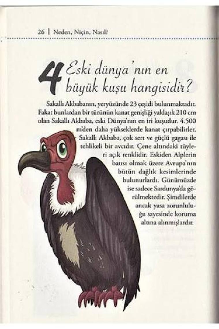 Süper Bilgi - Merak Ettiklerimiz