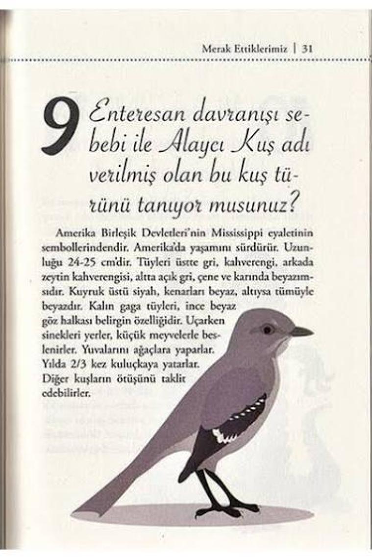 Süper Bilgi - Merak Ettiklerimiz