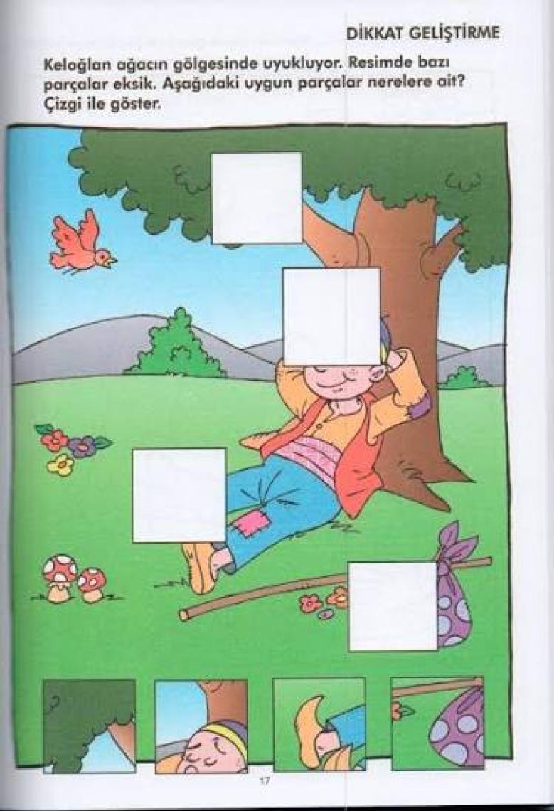 Zekâ Ve Dikkat Geliştirme Oyunları 5-6