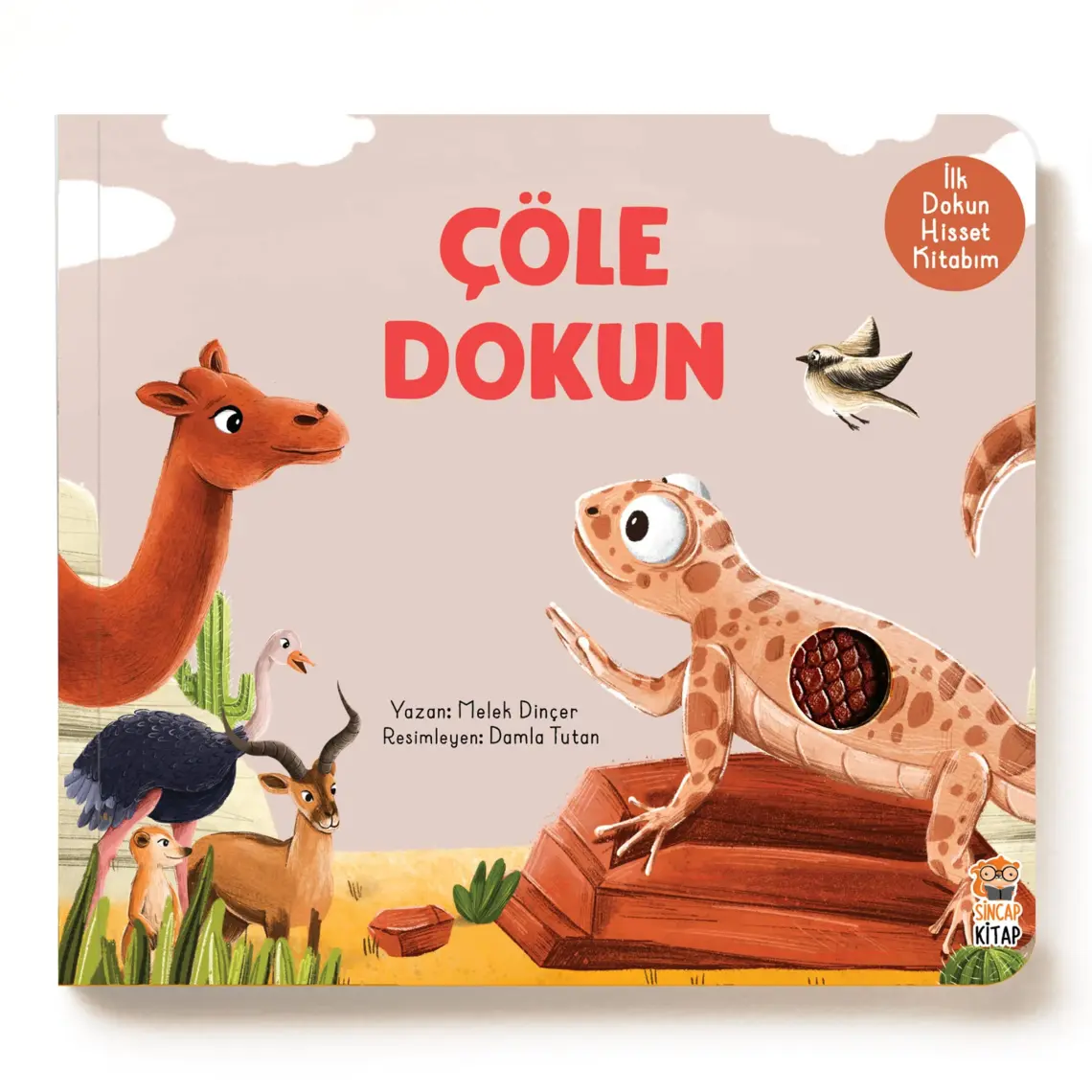 İlk Dokun Hisset Kitabım: Çöle Dokun - Melek Dinçer
