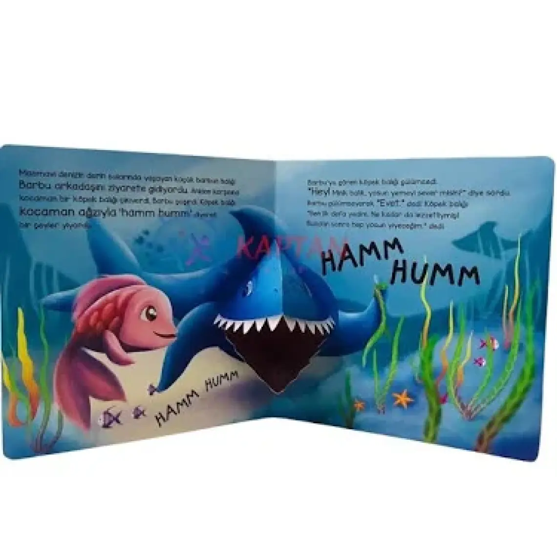 Bak Burada Kim Var  Gezgin Balık Barbu / Popup İle Keşfet  - Asiye Aslı Aslaner