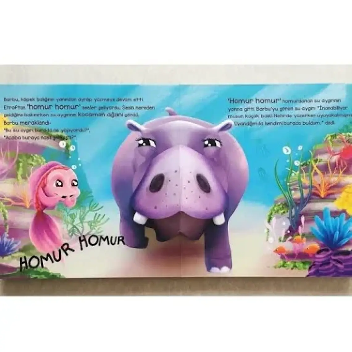 Bak Burada Kim Var  Gezgin Balık Barbu / Popup İle Keşfet  - Asiye Aslı Aslaner