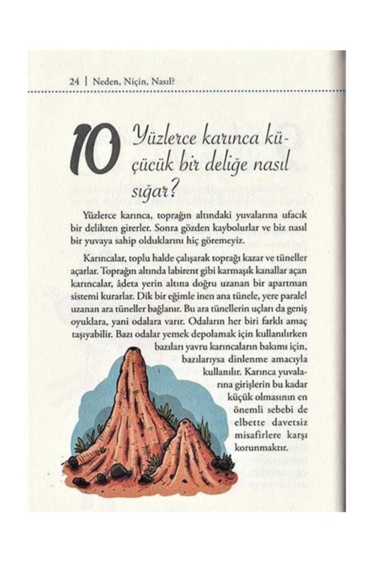 Süper Bilgi - Bunları Biliyormusunuz?
