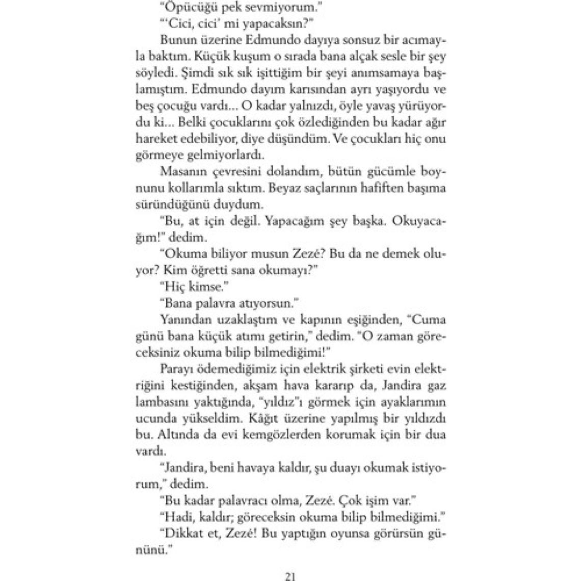 Şeker Portakalı - Jose Mauro de Vasconcelos