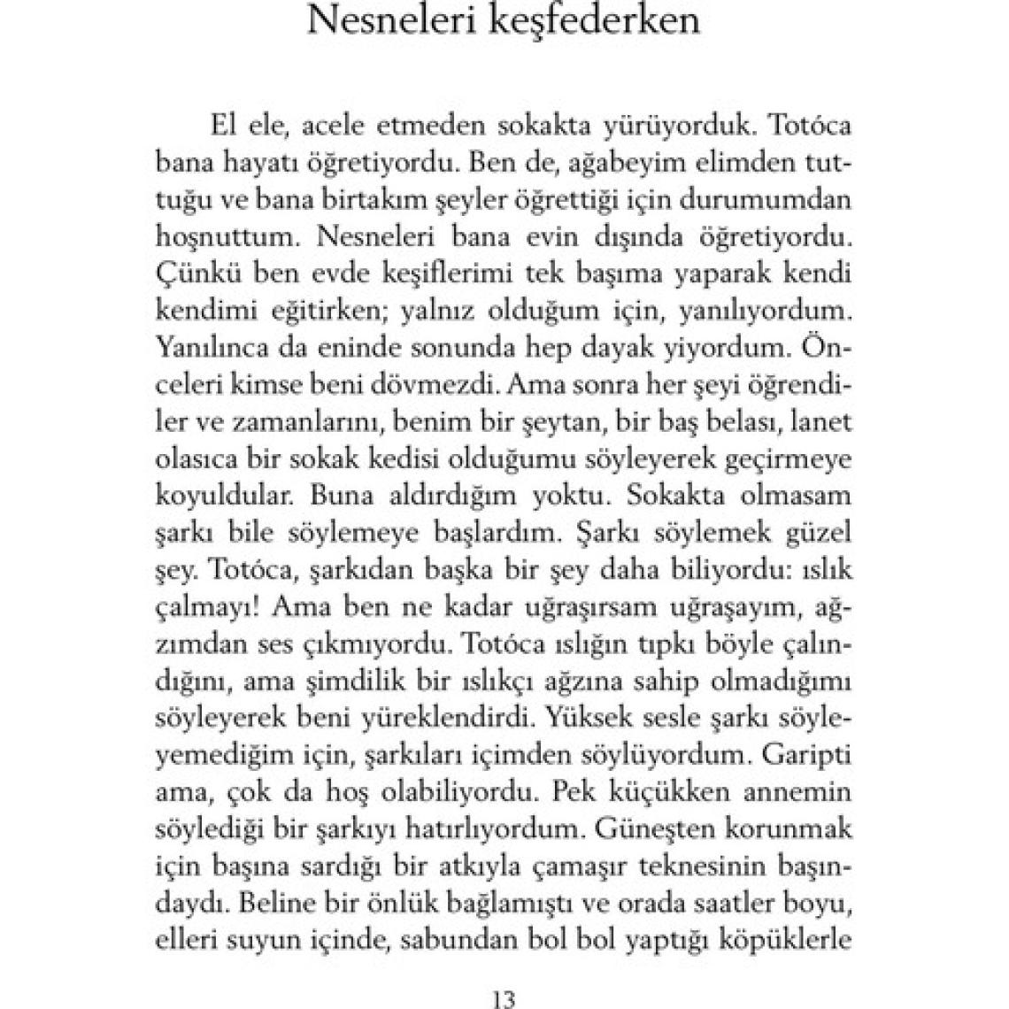 Şeker Portakalı - Jose Mauro de Vasconcelos