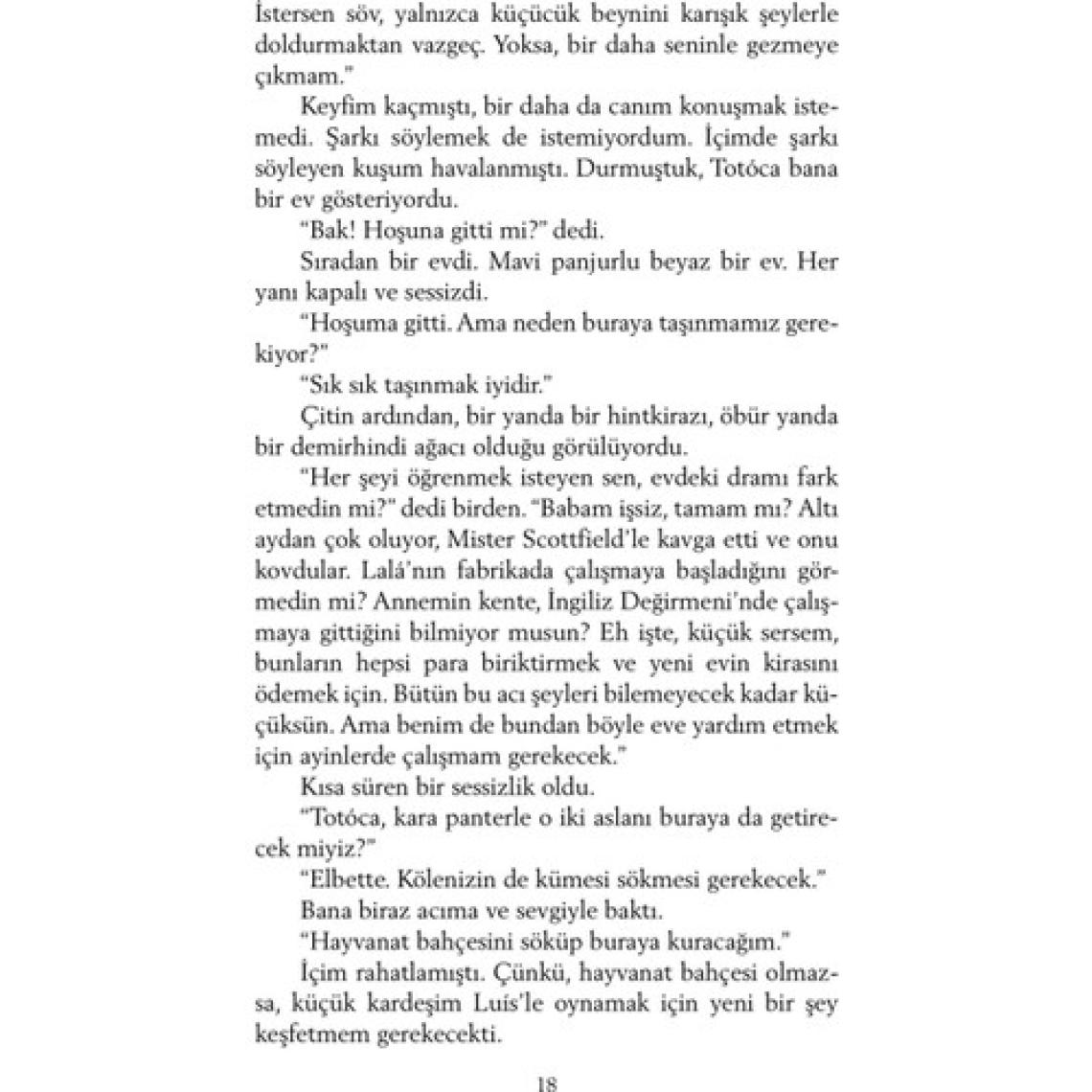 Şeker Portakalı - Jose Mauro de Vasconcelos