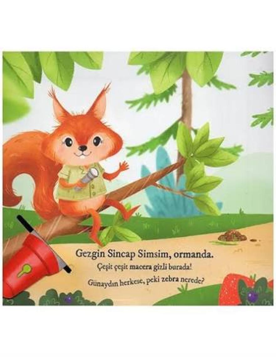 Bulurum Seni Ormanda Fenerli Kitap - M. Sacide Kafalı