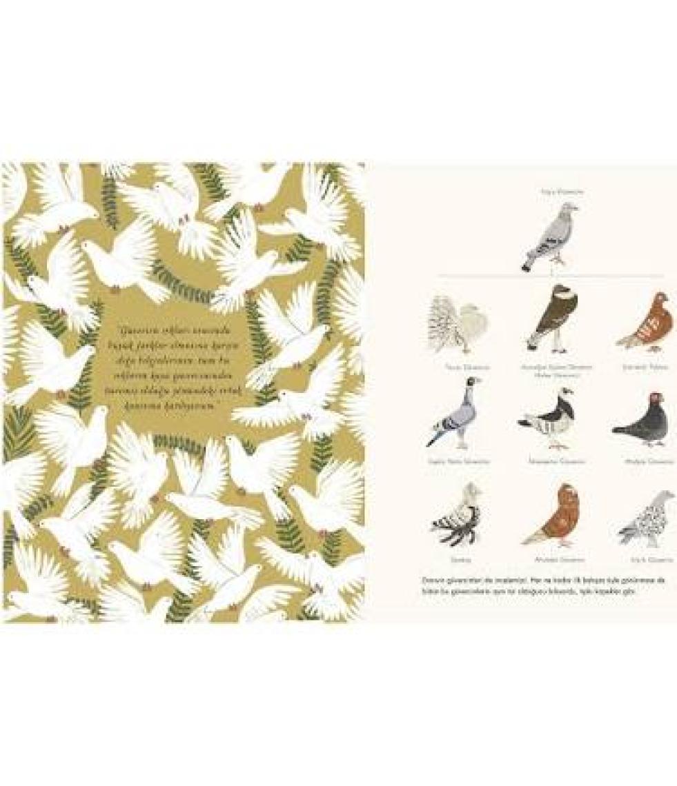 Türlerin Kökeni - Charles Darwin