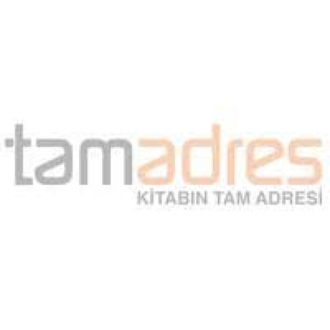 Kütüphane Faresi Bir Müze Macerası - Daniel Kirk