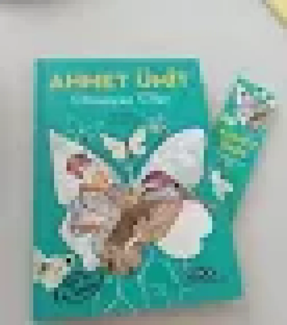 Olmayan Ülke 2.Baskı - Ahmet Ümit