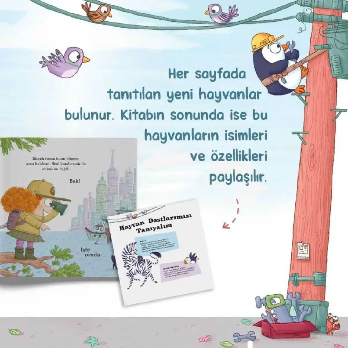 Benim Pop-it Kitabım - Okyanus (Ciltli) - Esra Canoğlu