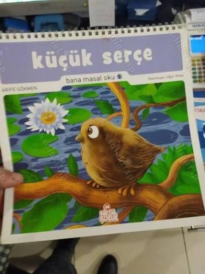 Yemek Yemek İstemeyen Küçük Serçe - Sinem Özen Canbolat