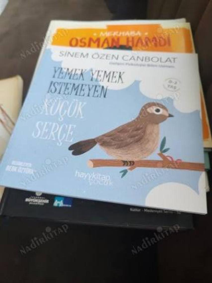 Yemek Yemek İstemeyen Küçük Serçe - Sinem Özen Canbolat