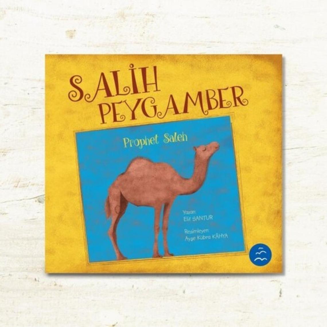 Peygamberler Serisi (12 Kitap)