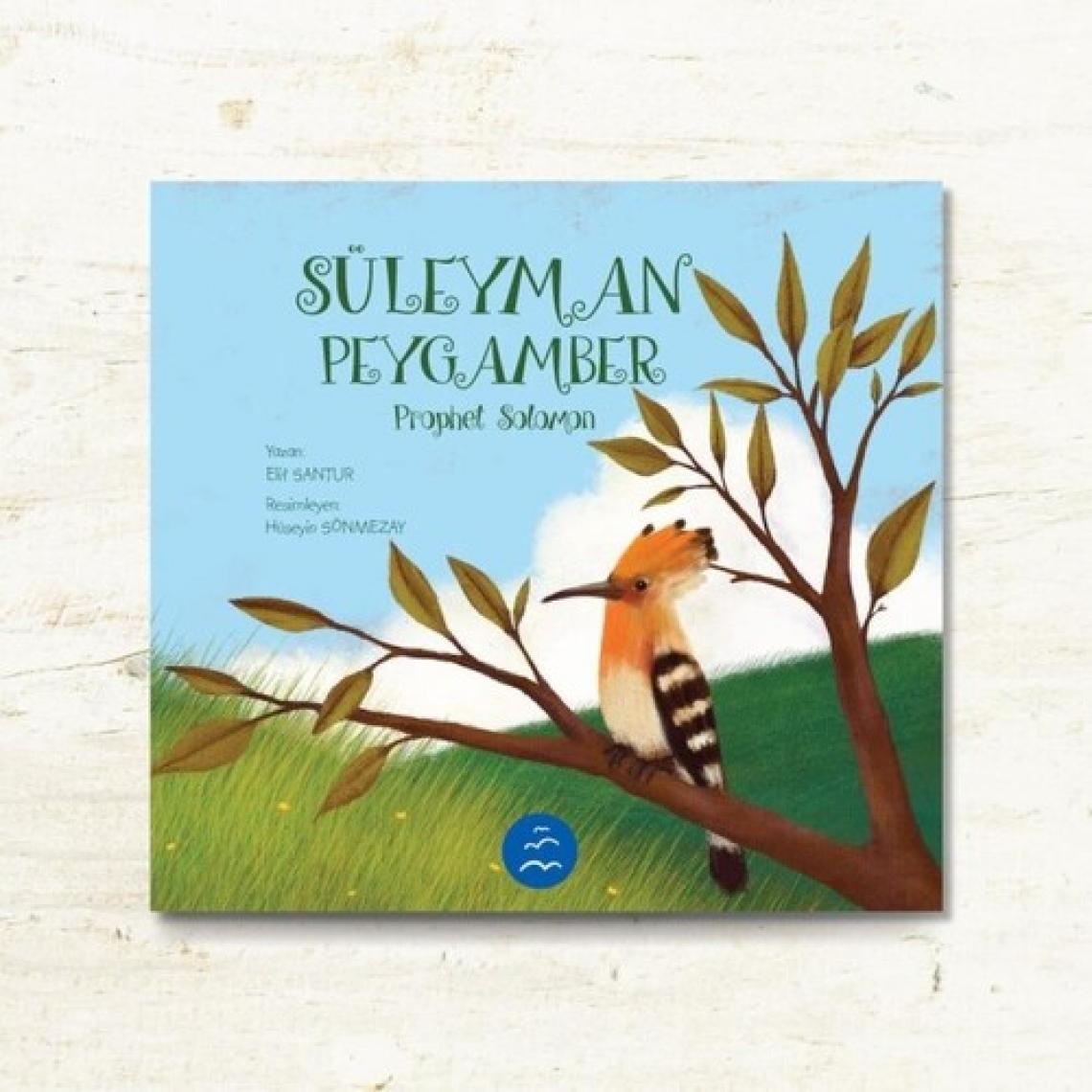 Peygamberler Serisi (12 Kitap)