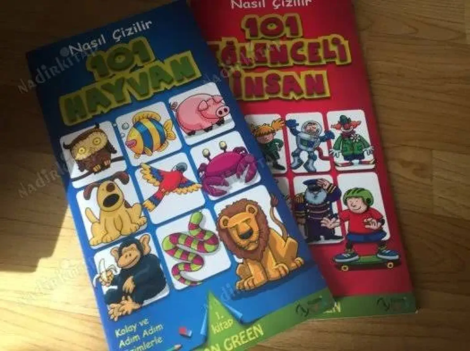 Nasıl Çizilir 101 Hayvan - Dan Green