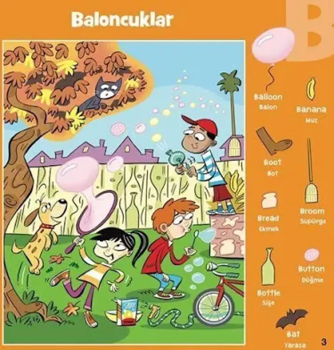 Abc Hıdden Pıctures
