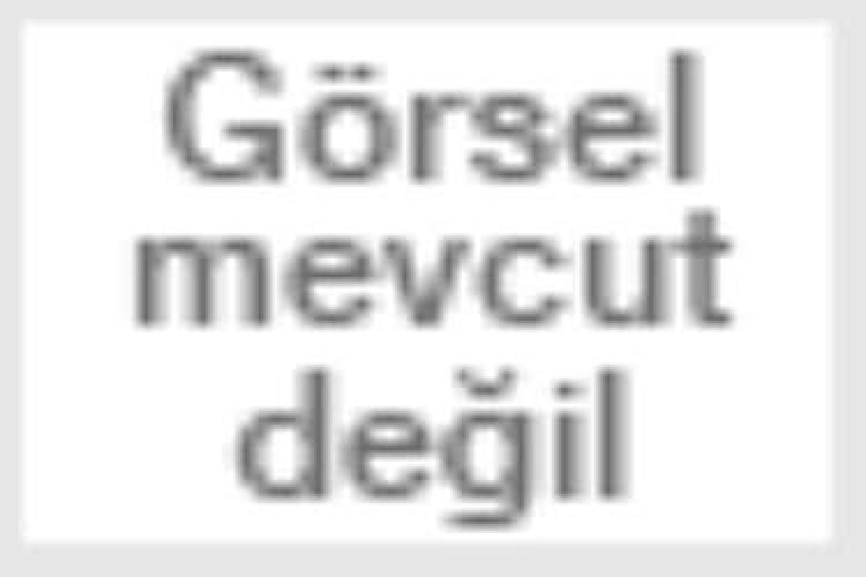Ünlü Dahiler Serisi Albert Einstein - Igeo Studio
