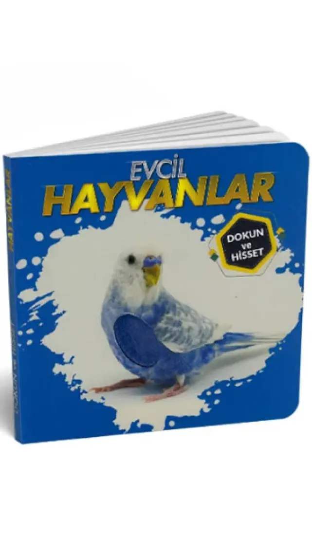 0-6 Yaş Yayınları Evcil Hayvanlar - Dokun ve Hisset