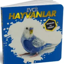 0-6 Yaş Yayınları Evcil Hayvanlar - Dokun ve Hisset