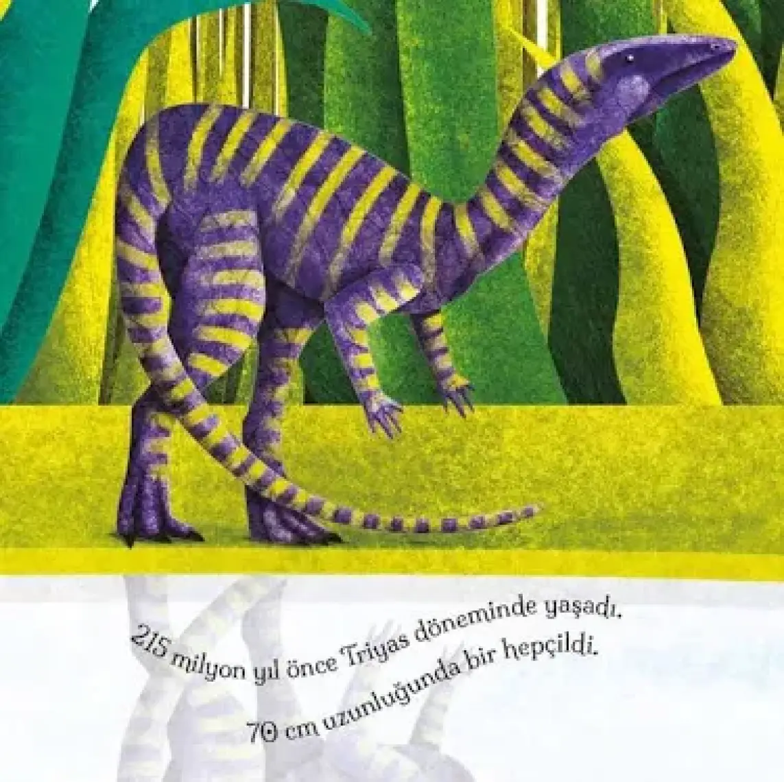 Devasa Dinozorların Büyük Kitabı ve Minik Dinozorların Küçük Kitabı (Ciltli) - Cristina Banfi