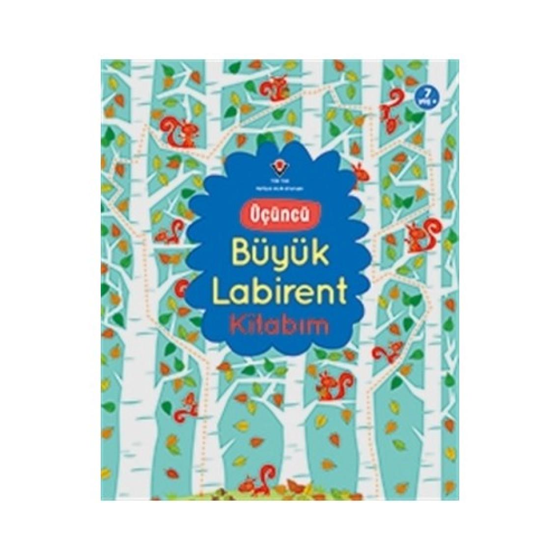 Tübitak Yayınları - Üçüncü Büyük Labirent Kitabım