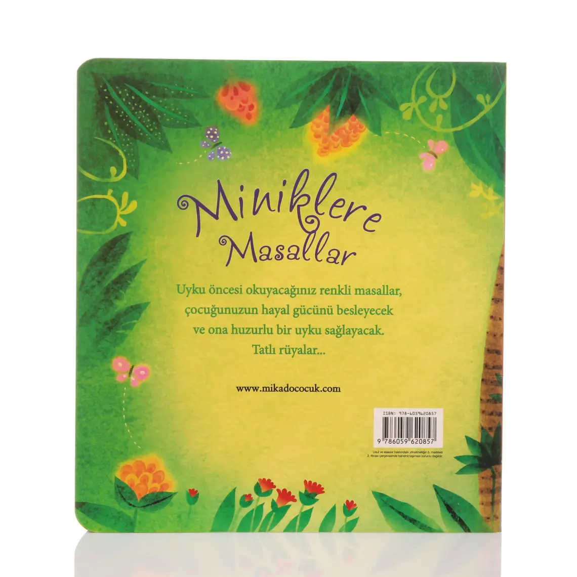 Miniklere Masallar - Sam Taplin